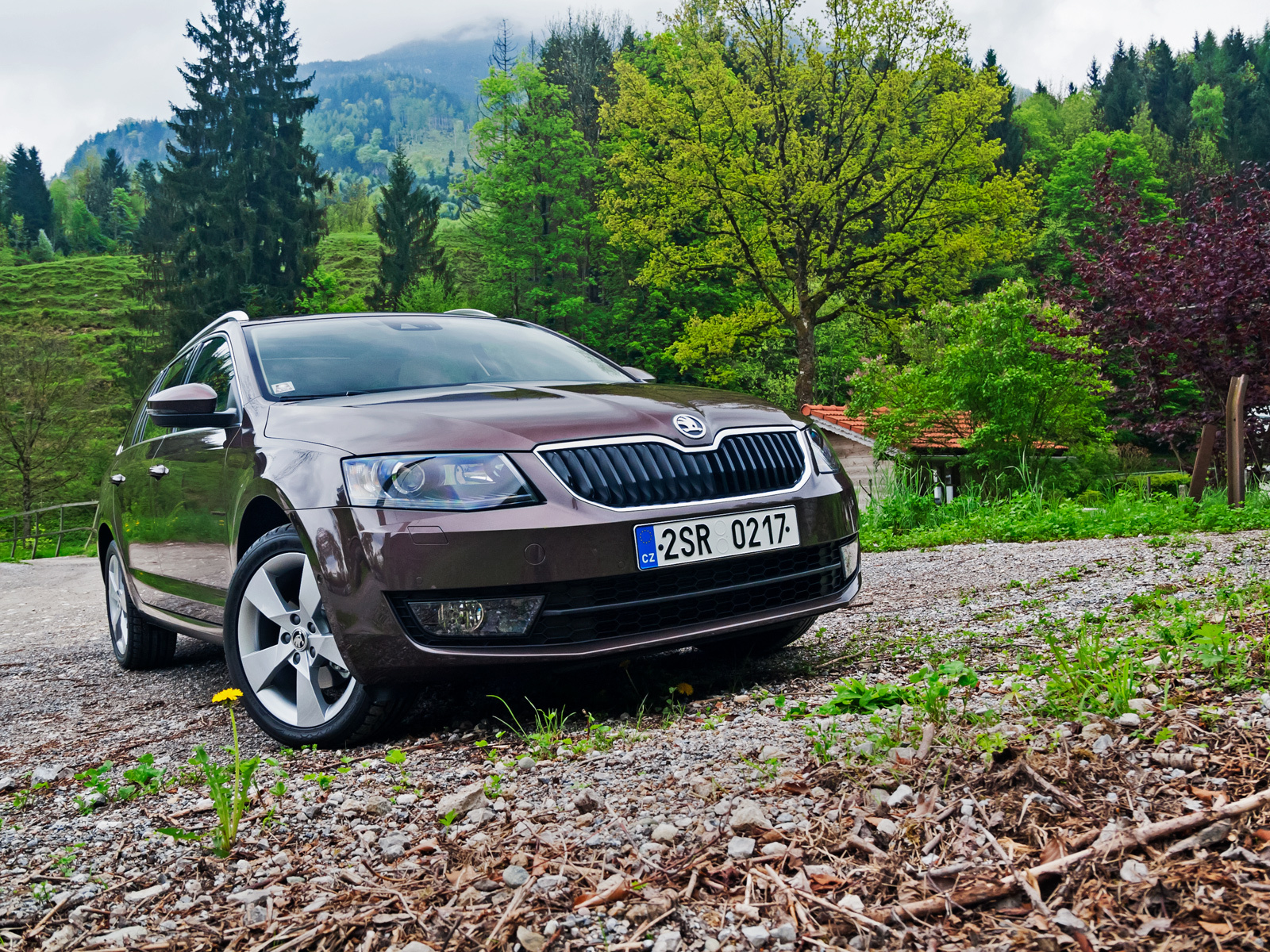 Шкоду октавию универсал. Skoda Octavia 2022 универсал. Skoda Octavia а4 драйв. Шкода Октавия а7 универсал коричневый. Skoda › Octavia variant.