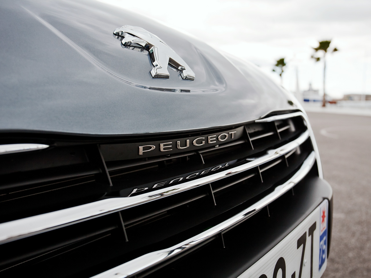 Учимся произносить «Peugeot 508» с немецким акцентом — ДРАЙВ