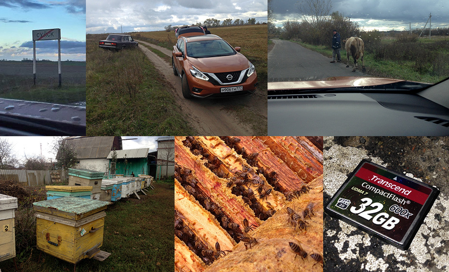             В ходе этого сравнения мы сунулись и даже высунулись из населённого пункта Суйск, были посрамлены Жигулями, когда раскорячились в поле для «диагоналки», а человек объехал нас по более крутой траектории, проведали зимующих пчёлок (улей можно аккуратно открыть — не тронут) и потеряли флешку со всем отснятым материалом. Благо, вовремя спохватились — нашли в свете фар.
