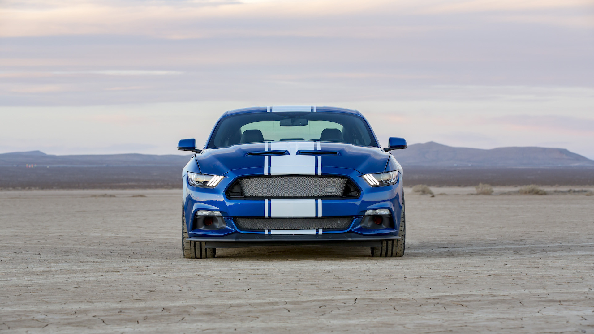 Купе 50th Anniversary Shelby Super Snake выйдет малым тиражом — ДРАЙВ