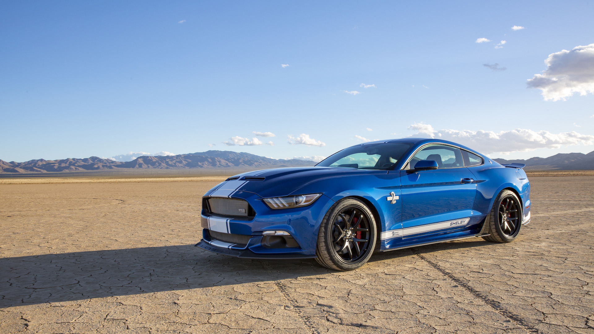 Купе 50th Anniversary Shelby Super Snake выйдет малым тиражом — ДРАЙВ