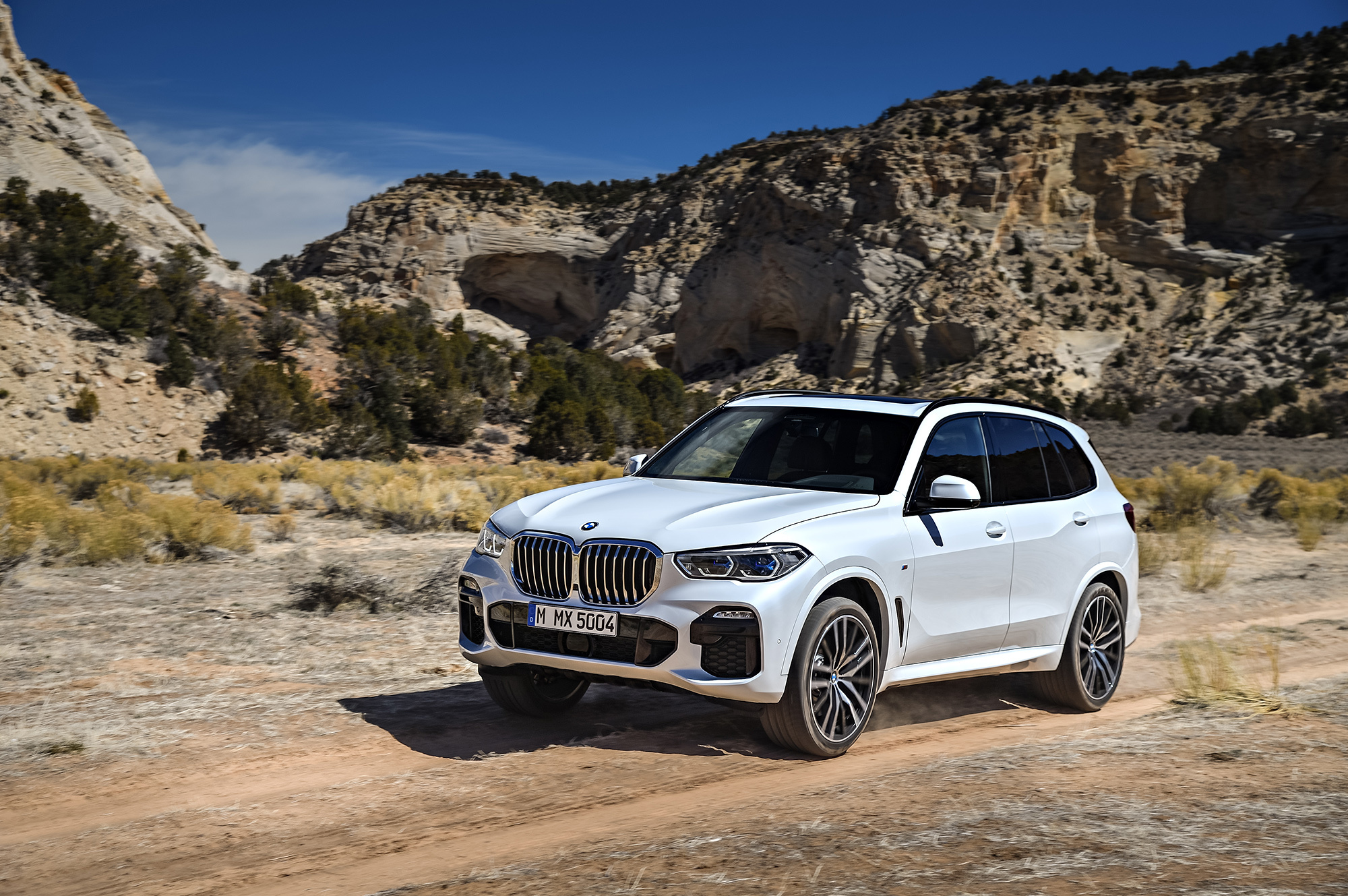 Кроссовер BMW X5 получился похожим на младших братьев — ДРАЙВ