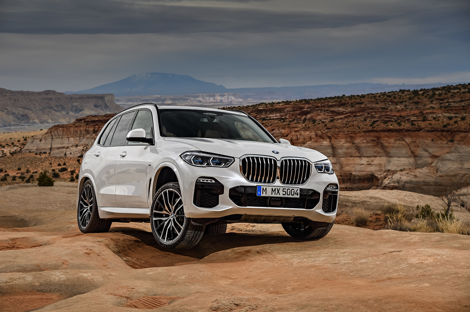 Кроссовер BMW X5 получился похожим на младших братьев — ДРАЙВ