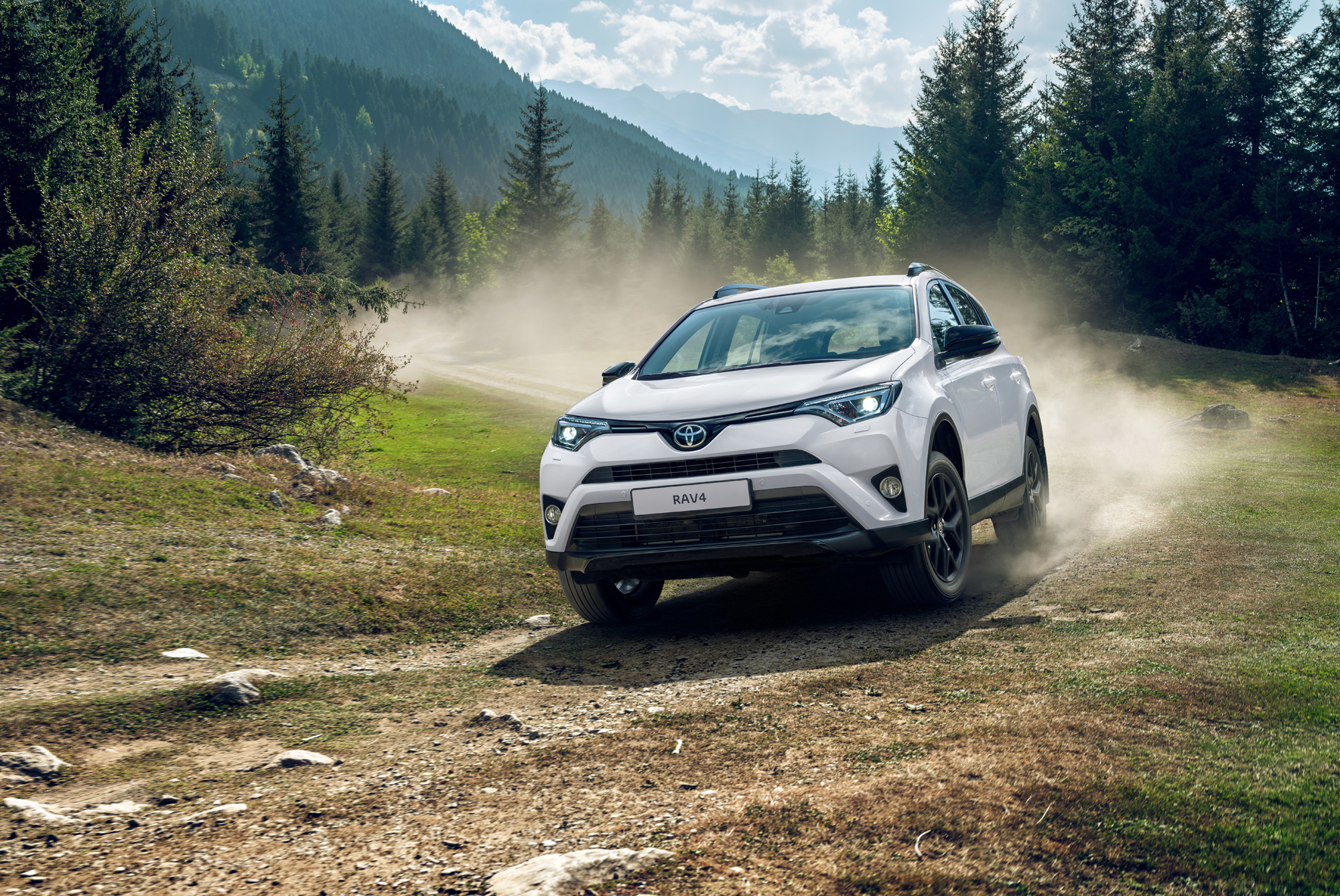 Паркетник Toyota RAV4 25th Anniversary напомнил о первенстве — ДРАЙВ