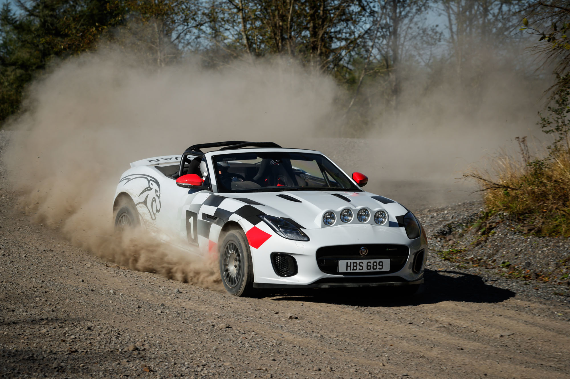 Родстеры Jaguar F-type Rally отметили 70-летие спорткаров марки — ДРАЙВ