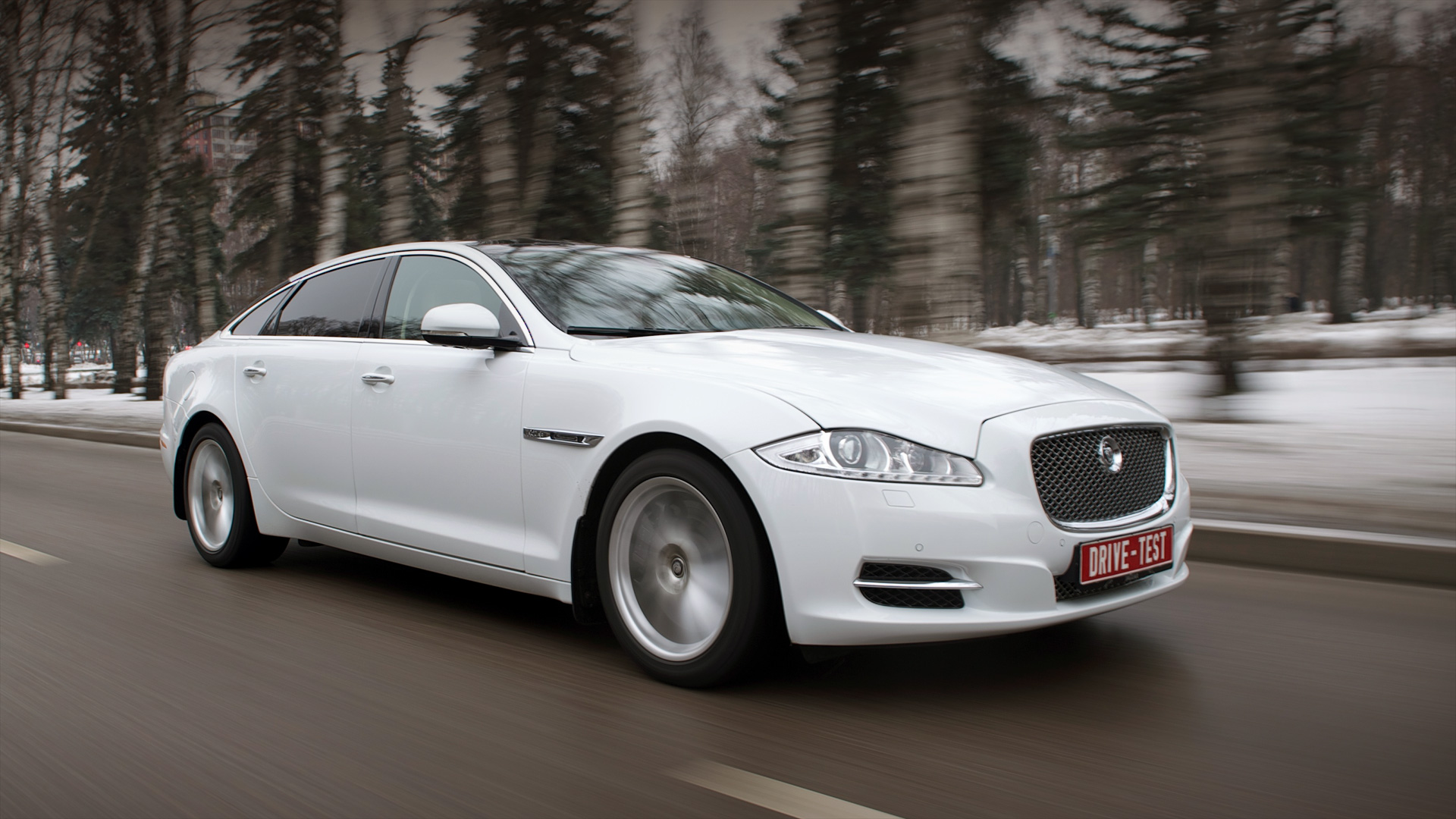 Пробуем длиннобазный Jaguar XJ в чёрном, белом и ещё кое-что — ДРАЙВ