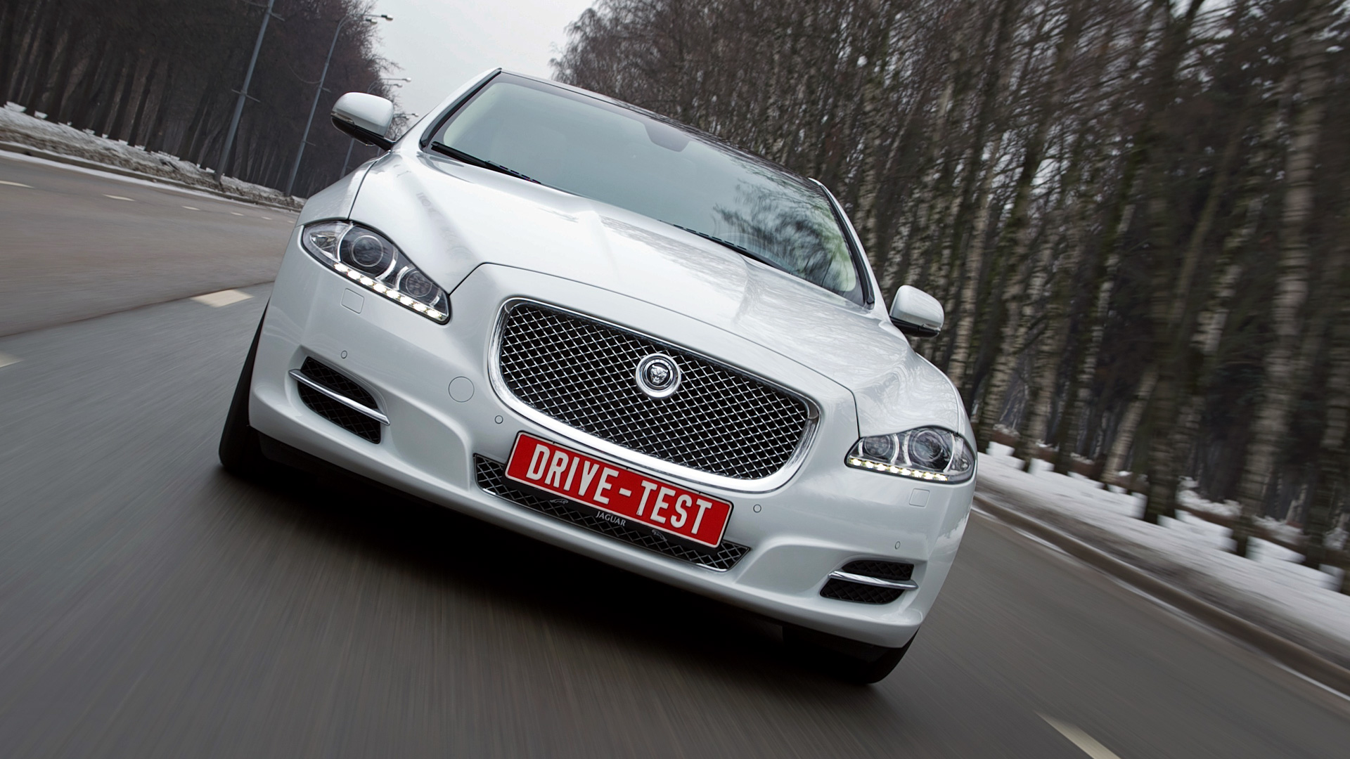 Пробуем длиннобазный Jaguar XJ в чёрном, белом и ещё кое-что — ДРАЙВ